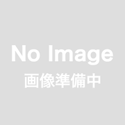 屋外用 蚊取り器 ダイナトラップ DT1100