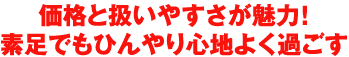 価格と扱い易さが魅力