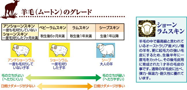 ムートン　グレード