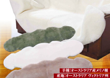ショーンラム短毛特徴
