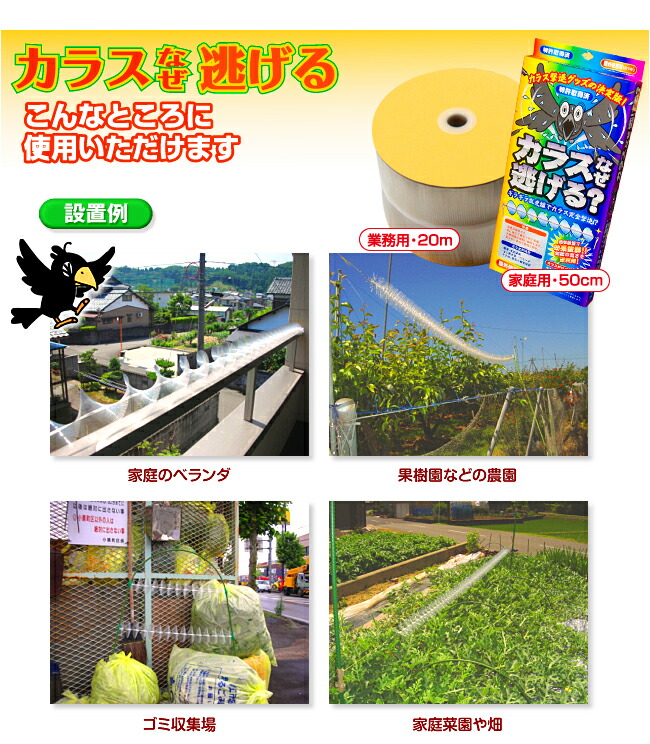 カラスなぜ逃げる