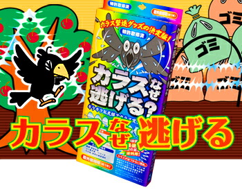 カラスなぜ逃げる