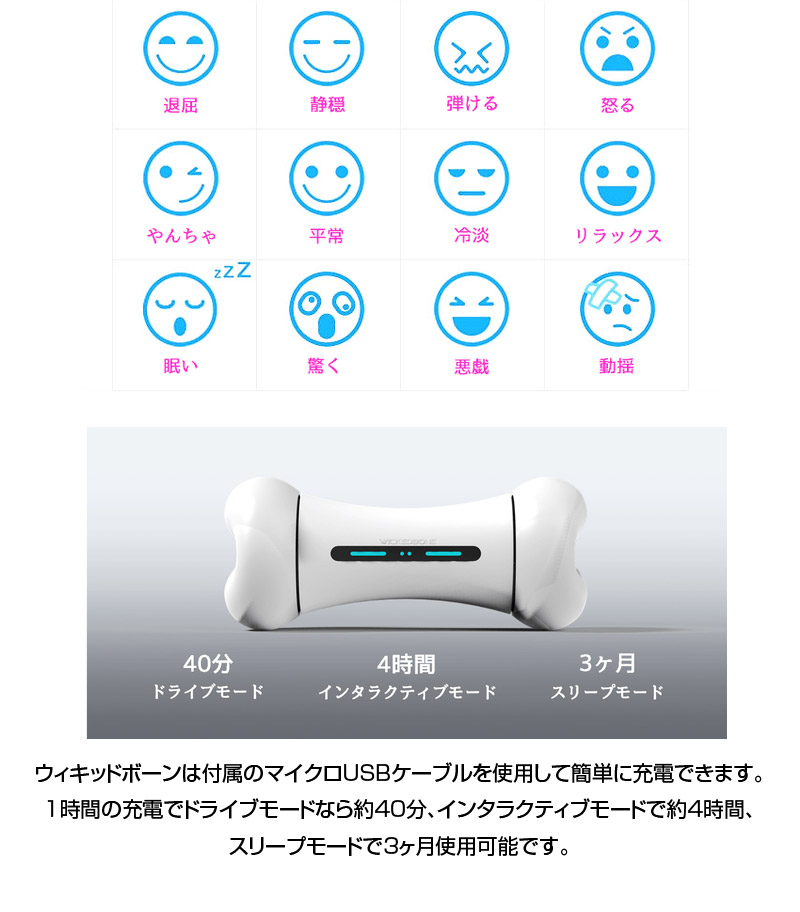 ウィキッドボーン