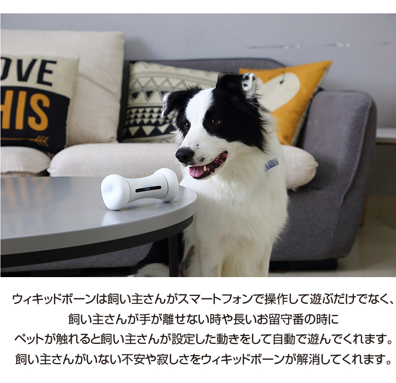 ウィキッドボーン