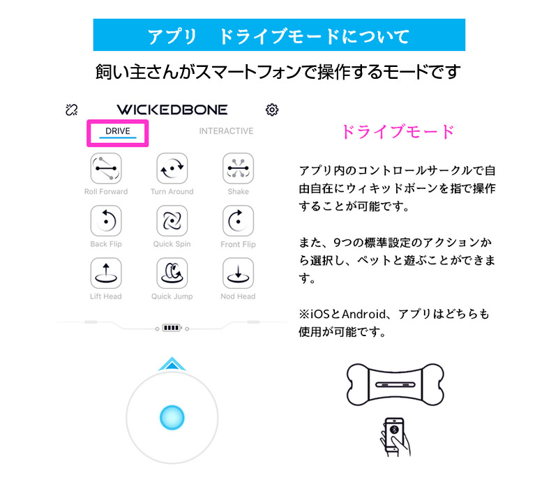 ウィキッドボーン