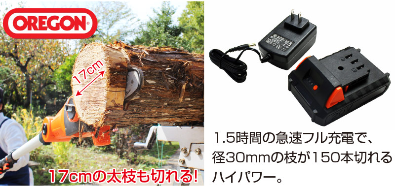 コードレス高枝電動チェーンソー