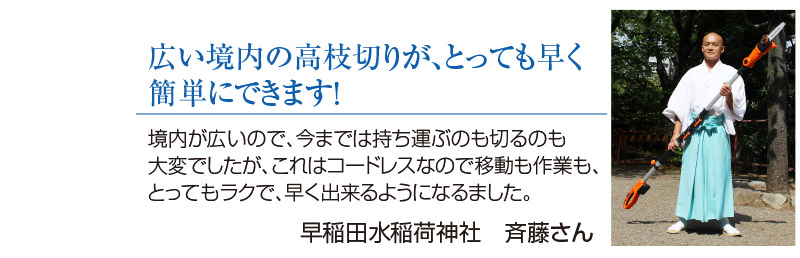 コードレス高枝電動チェーンソー