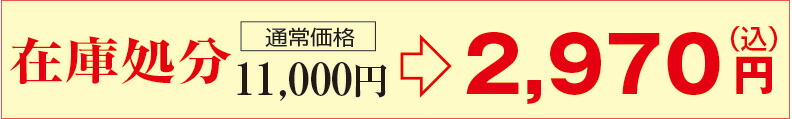 ソーラーセンサーライト キューブ SA-28G
