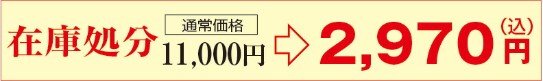 ソーラーセンサーライト　キューブ　SA－28G