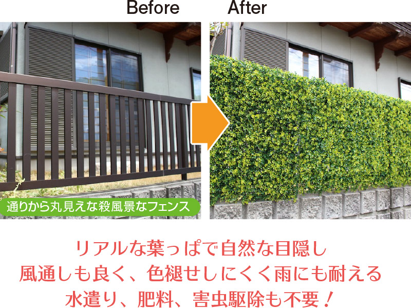 リアルグリーンフェンス