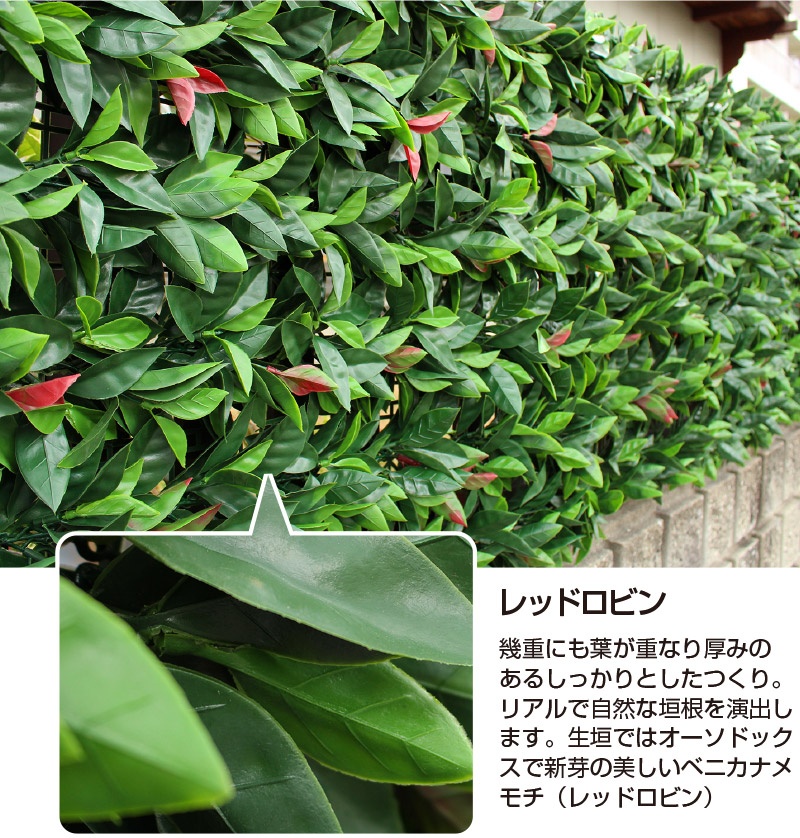 リアルグリーンフェンス