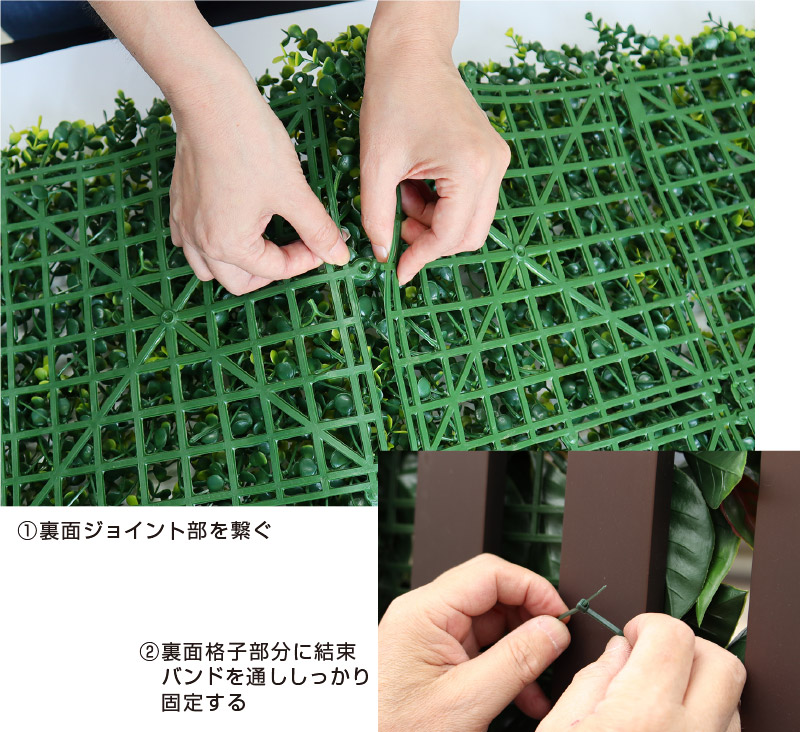 リアルグリーンフェンス