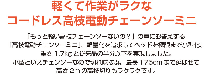 高枝電動チェーンソーミニ