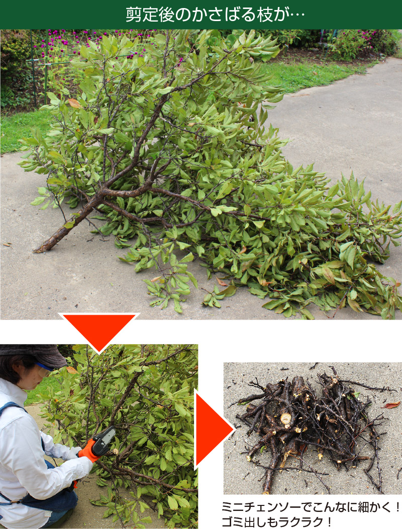 高枝電動チェーンソーミニ