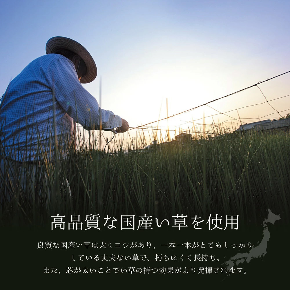 国産い草ラグ (裏貼り) エンペラー