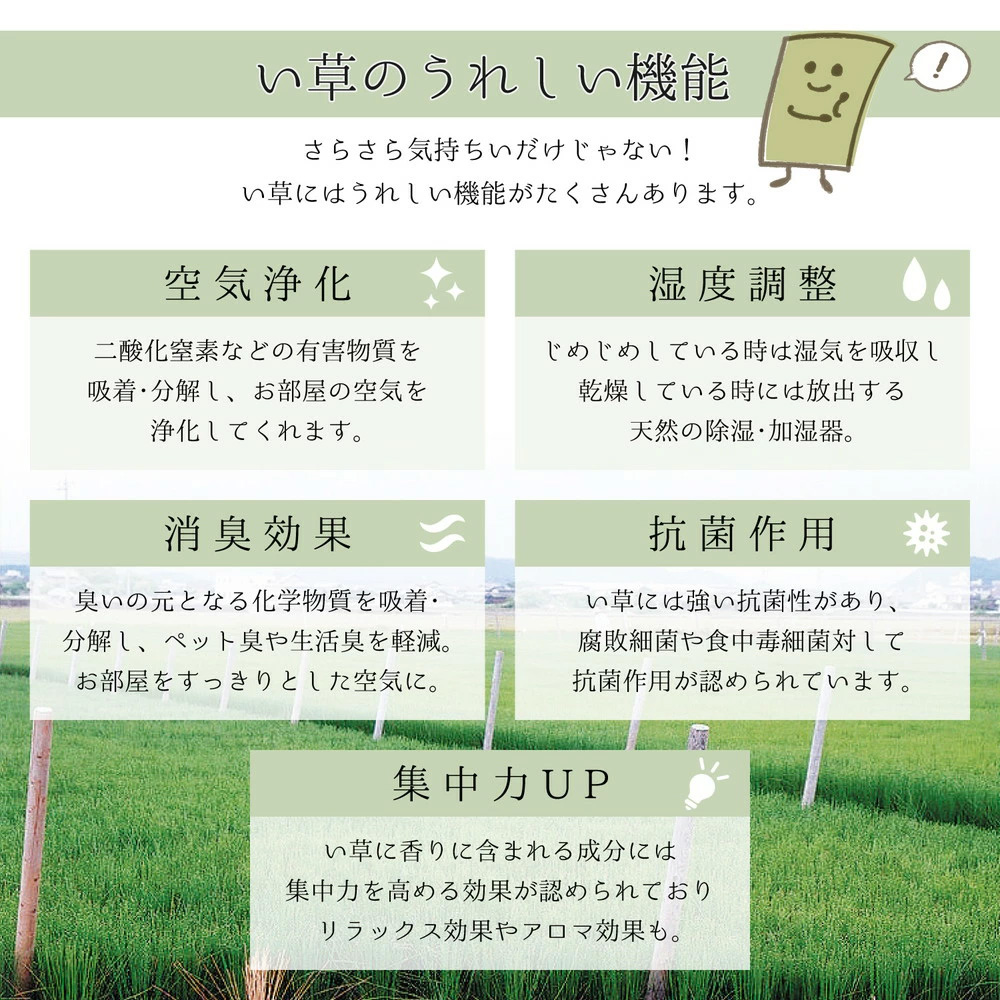 国産い草ラグ (裏貼り) エンペラー