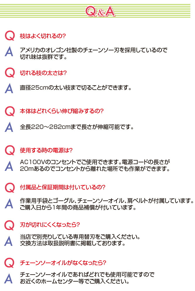 ランキング