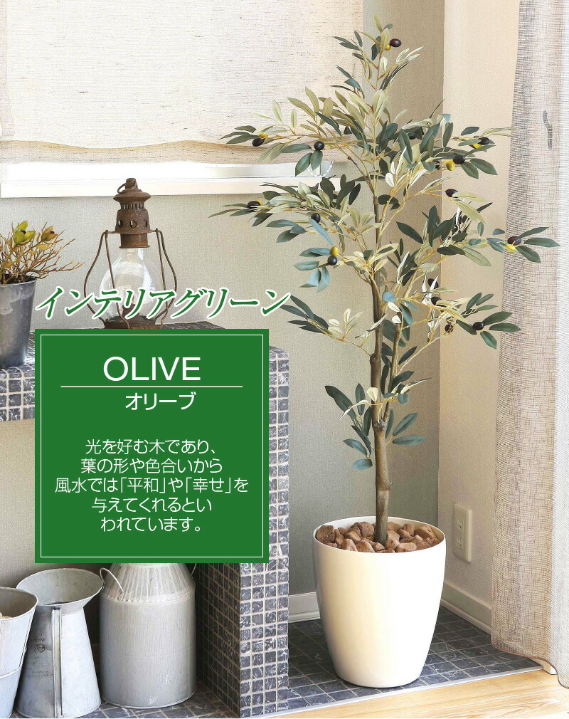 人工観葉植物 オリーブ1 3 人工観葉植物 オリーブ1 3