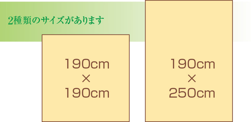 エクサボム